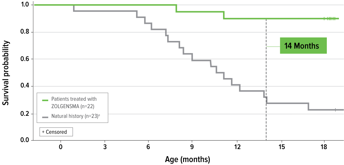 Chart: Event-free survival through 18 months of age in patients with spinal muscular atrophy treated with ZOLGENSMA in the Phase 3 STR1VE clinical trial