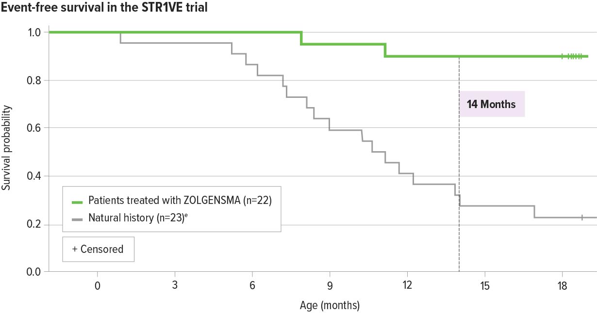Chart: Event-free survival through 18 months of age in patients with spinal muscular atrophy treated with ZOLGENSMA in the Phase 3 STR1VE clinical trial